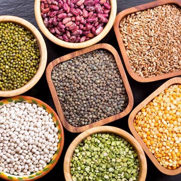Dried Legumes (Beans)
