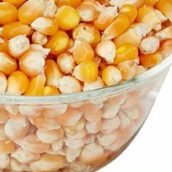 Quality Dry Yellow Corn for sale in Tanzania